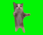 happy happy happy meme song