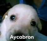 El rap de nicolas! parte 2