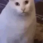 Huh