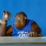 ssstik.io_1767994438675