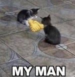 Nah, but I'm doing your mom