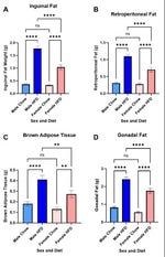 大展鴻圖Blueprint Supreme 攬佬SKAI ISYOURGODAR劉夫陽English translate&Si