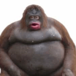 No Dick No balls (EARRAPE)