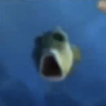 pyrocynical cans (just the cans)