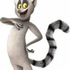 turbulance with gordo