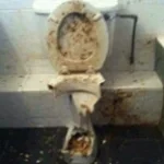 Regular Show Intro (copy)