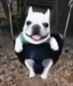 Tchaikovsky's 1812 Overture That Good Part