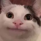 aplausos de papaleta