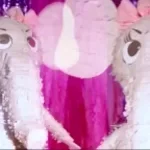 елена дилда (copy) - Sound