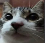 happy birthday minions mmmmzmzmm