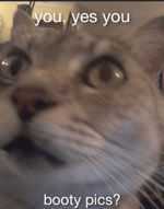 DBD Ghost Face Stalk