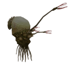 Background Flood sounds - Halo CE