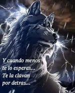 Romeo Santos Imitadora