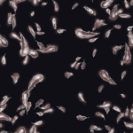 Whats heavier a kilogram of steel or a kilogram of feathers