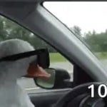 DRIVING IN MY CAR BASS BOOSTED