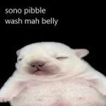 I am pibble - Sound