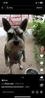 The real most devious fart