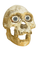 A dubious little CREATURE