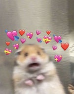 SOUND EFFECT LOVE MOMENT