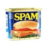 SPAM