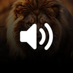 O leão tá com fome