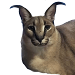 risa de ardilla pero lento