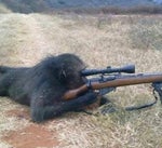 Yes I am a SIMP (Sniper Monkey)