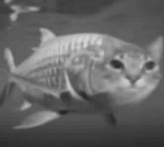 Kim Jong Goon (Heavy Mix)