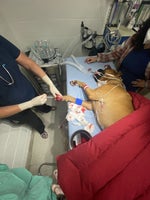 Squidward walking sound effect