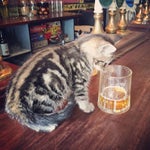 Where Is My Mind (main part)