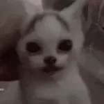 MC ZOI DE GATO - 1° COMANDO2,0 ♪(LETRA+DOWNLOAD)♫