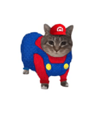 UIA Cat - Mario