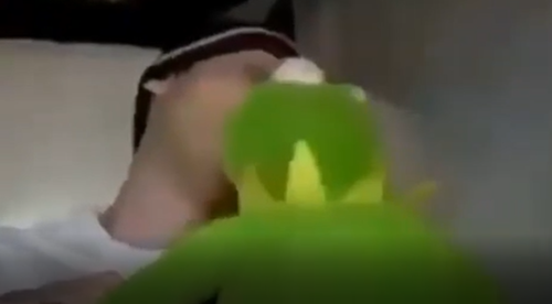 kermit gay potion