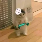 Recording 03/09/26 22:11:51