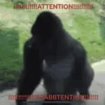 el nepe de gorila sabe a banano