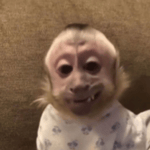 Leave me alone, please leave me alone