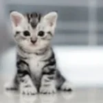 Karin Ritter - Mach dich aus meiner Leitung raus