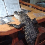 There will be bloodshed