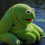 morning garden acoustic chill 15013