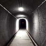 Pitbull hey baby concert p2