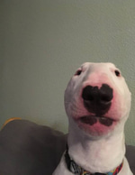gigachad