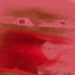 cheappickles adverage scream