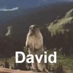 David?