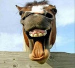 кто пернул skibidi