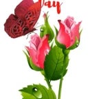 каеая  блядота делает эти картинки - Sound