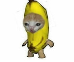 I Will Find You And I Will Kill You Sound Effect