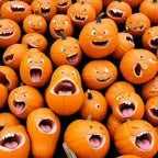 las calabazas dicen ya bastaa!