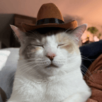 1 06 The Lincolnshire Poacher music loop