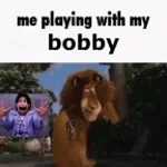 meme bobby