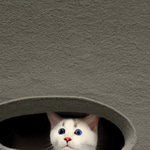 Hi what are you doing